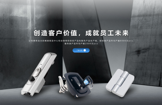 丽水网站